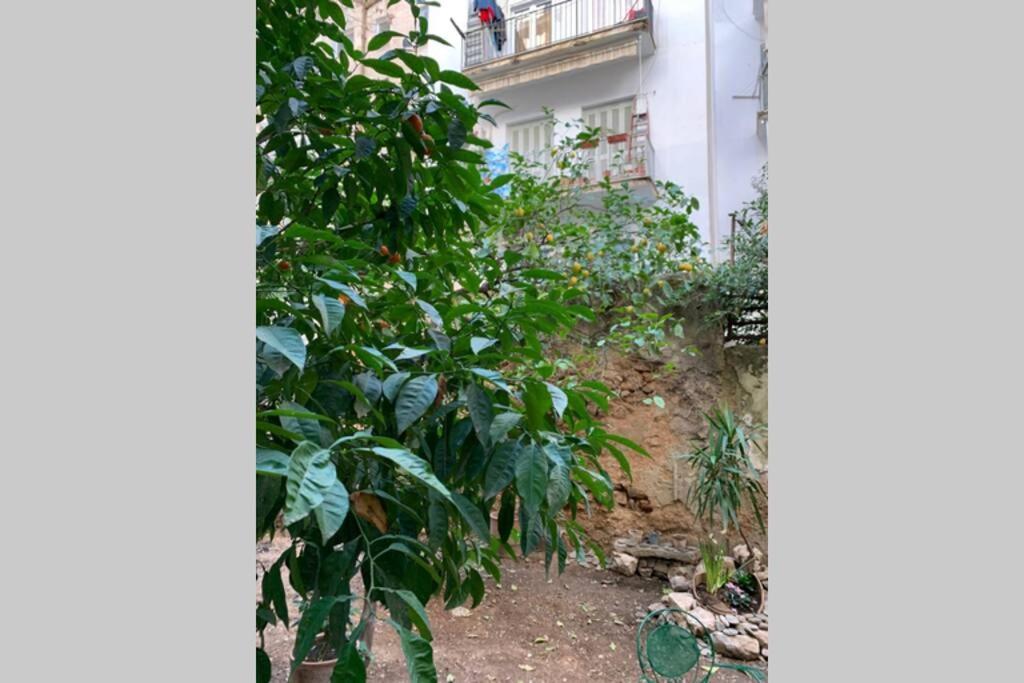 Quiet And Central Flat With Private Backyard Garden Atena Exterior foto
