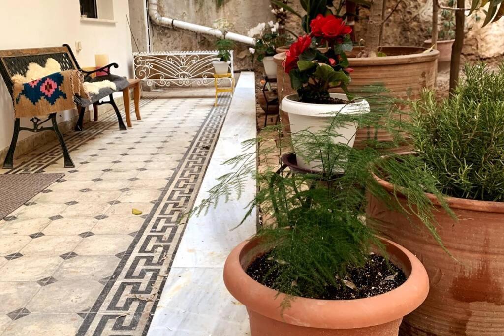 Quiet And Central Flat With Private Backyard Garden Atena Exterior foto