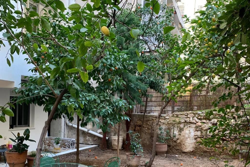 Quiet And Central Flat With Private Backyard Garden Atena Exterior foto